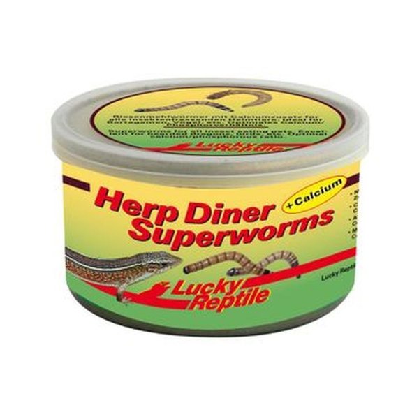 Lucky Reptile Herp Diner Superworms  35g