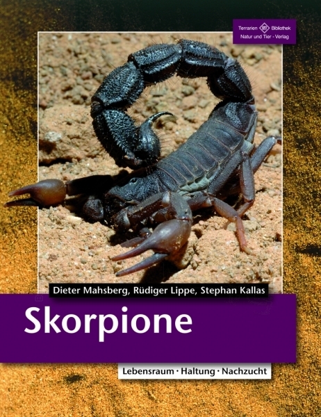 Skorpione – Lebensraum. Haltung. Zucht