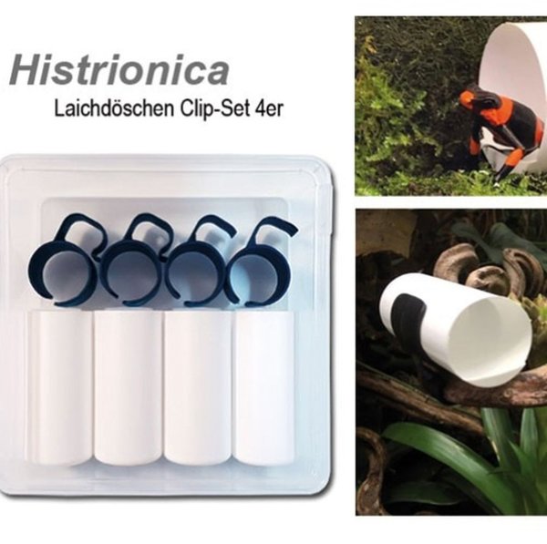 Histrionica Laichdöschen mit Clip